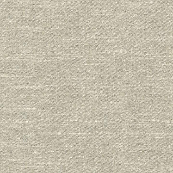Montecito Sand 412091 by PKL Studio Designer Fabric 55% Linen, 45% Cotton China 39000 Horizontal: N/A and Vertical: N/A 54 - Swanky Fabrics -