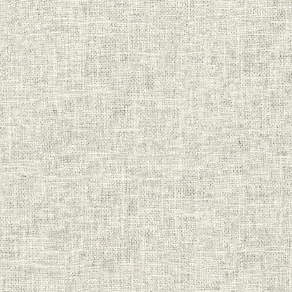 Montecito Coconut 412092 by PKL Studio Fabric 55% Linen, 45% Cotton China 39000 Horizontal: N/A and Vertical: N/A 54 - Fabric Carolina -