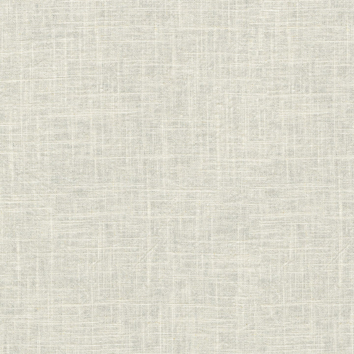 Montecito Coconut 412092 by PKL Studio Fabric 55% Linen, 45% Cotton China 39000 Horizontal: N/A and Vertical: N/A 54 - Fabric Carolina -