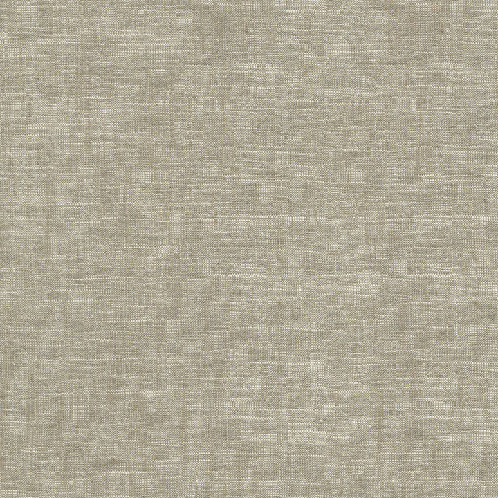 Montecito Mushroom 412095 by PKL Studio Fabric 55% Linen, 45% Cotton China 39000 Horizontal: N/A and Vertical: N/A 54 - Fabric Carolina -