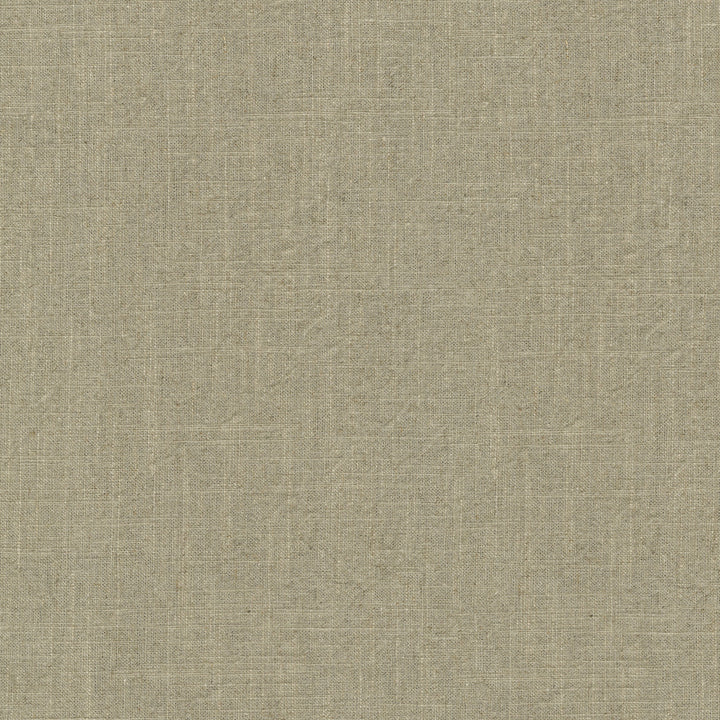 Montecito Hemp 412096 by PKL Studio Fabric 55% Linen, 45% Cotton China 39000 Horizontal: N/A and Vertical: N/A 54 - Fabric Carolina -