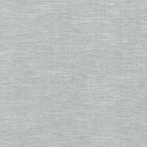Montecito Fog 412099 by PKL Studio Fabric