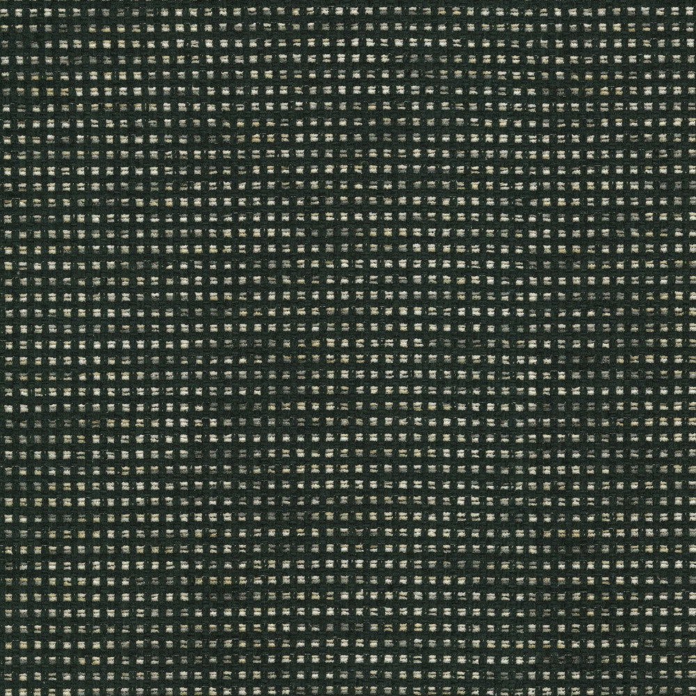 Tahitian Basket Ebony 412122 by PKL Studio Fabric 100% Polyester India 51000 Horizontal: 0.25 and Vertical: 0.25 54 - Fabric Carolina -