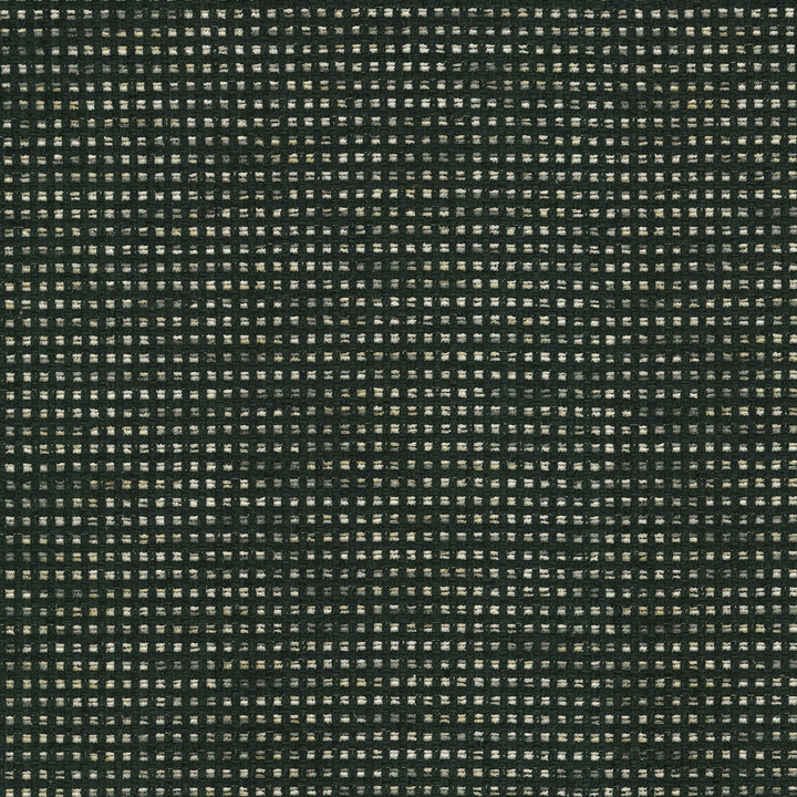 Tahitian Basket Ebony 412122 by PKL Studio Fabric 100% Polyester India 51000 Horizontal: 0.25 and Vertical: 0.25 54 - Fabric Carolina -