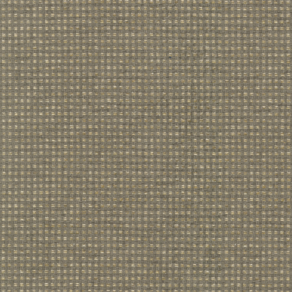 Tahitian Basket Shale 412123 by PKL Studio Fabric 100% Polyester India 51000 Horizontal: 0.25 and Vertical: 0.25 54 - Fabric Carolina -