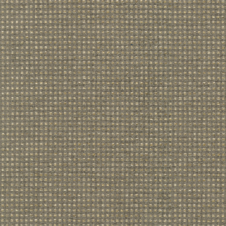 Tahitian Basket Shale 412123 by PKL Studio Fabric 100% Polyester India 51000 Horizontal: 0.25 and Vertical: 0.25 54 - Fabric Carolina -