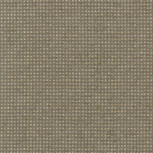 Tahitian Basket Shale 412123 by PKL Studio Fabric