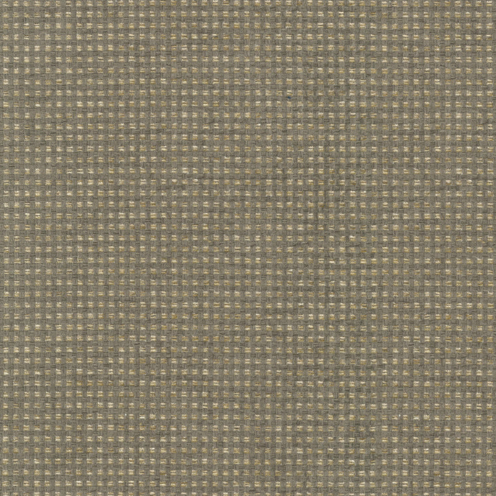 Tahitian Basket Shale 412123 by PKL Studio Designer Fabric 100% Polyester India 51000 Horizontal: 0.25 and Vertical: 0.25 54 - Swanky Fabrics -