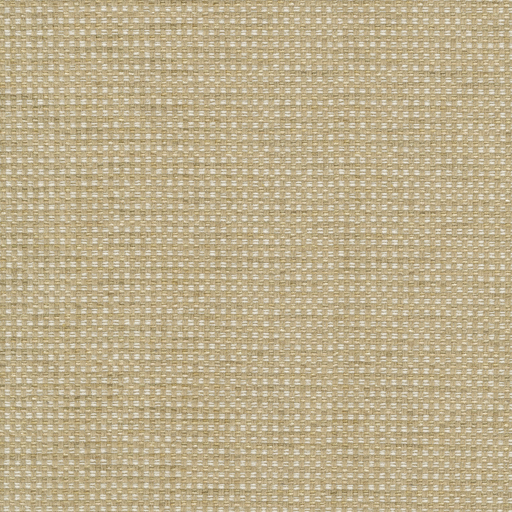 Tahitian Basket Rattan 412124 by PKL Studio Fabric 100% Polyester India 51000 Horizontal: 0.25 and Vertical: 0.25 54 - Fabric Carolina -