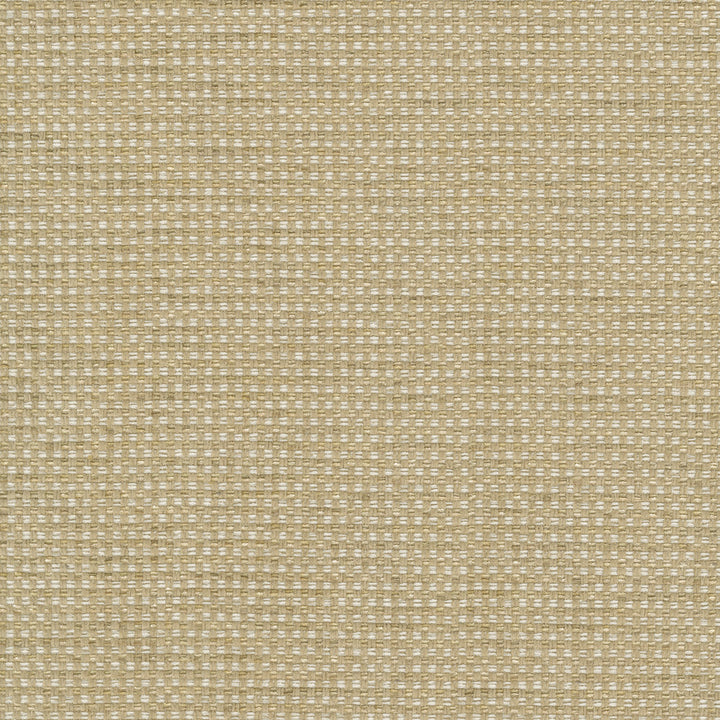 Tahitian Basket Rattan 412124 by PKL Studio Fabric 100% Polyester India 51000 Horizontal: 0.25 and Vertical: 0.25 54 - Fabric Carolina -