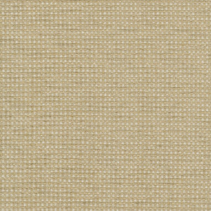 Tahitian Basket Rattan 412124 by PKL Studio Fabric