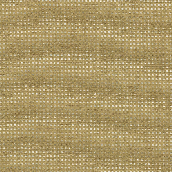 Tahitian Basket Gold 412125 by PKL Studio Fabric 100% Polyester India 51000 Horizontal: 0.25 and Vertical: 0.25 54 - Fabric Carolina -