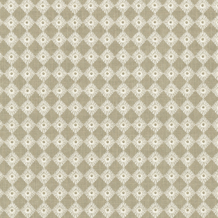 Encore Emb Linen 412140 by PKL Studio Fabric Base 72% Cotton, 28% Polyester Emb: 100% Cotton India 51000 Horizontal: 1 and Vertical: 1 54 - Fabric Carolina -