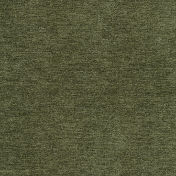 Lushscape Moss 412292 by PKL Studio Fabric 100% Recycled Polyester China 51000 Horizontal: N/A and Vertical: N/A 54/55 - Fabric Carolina -