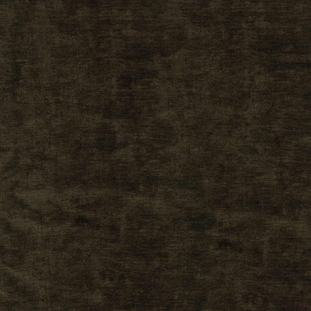 Lushscape Chocolate 412295 by PKL Studio Fabric 100% Recycled Polyester China 51000 Horizontal: N/A and Vertical: N/A 54/55 - Fabric Carolina -