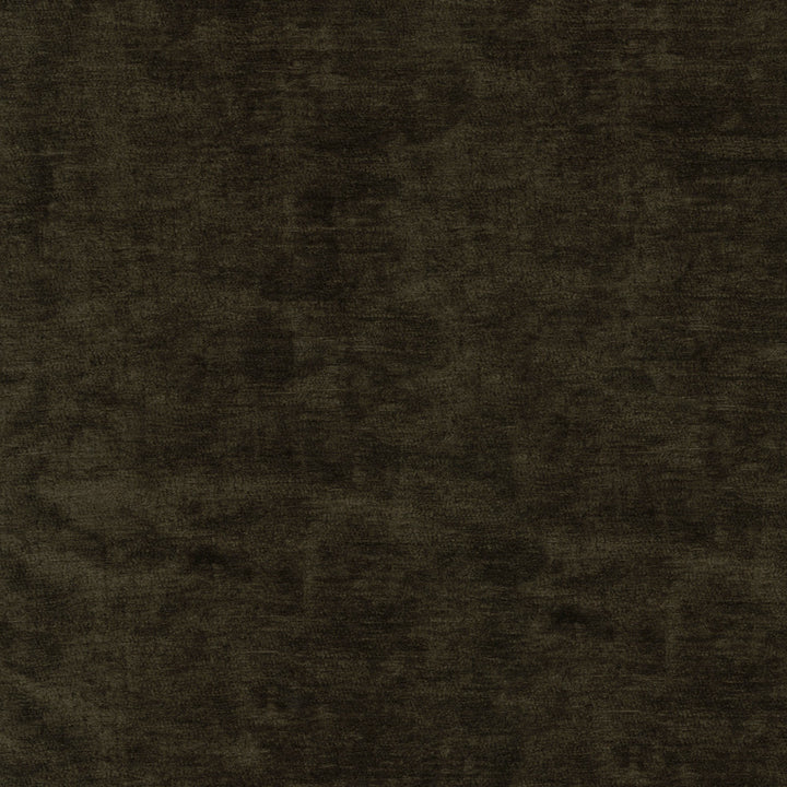 Lushscape Chocolate 412295 by PKL Studio Fabric 100% Recycled Polyester China 51000 Horizontal: N/A and Vertical: N/A 54/55 - Fabric Carolina -