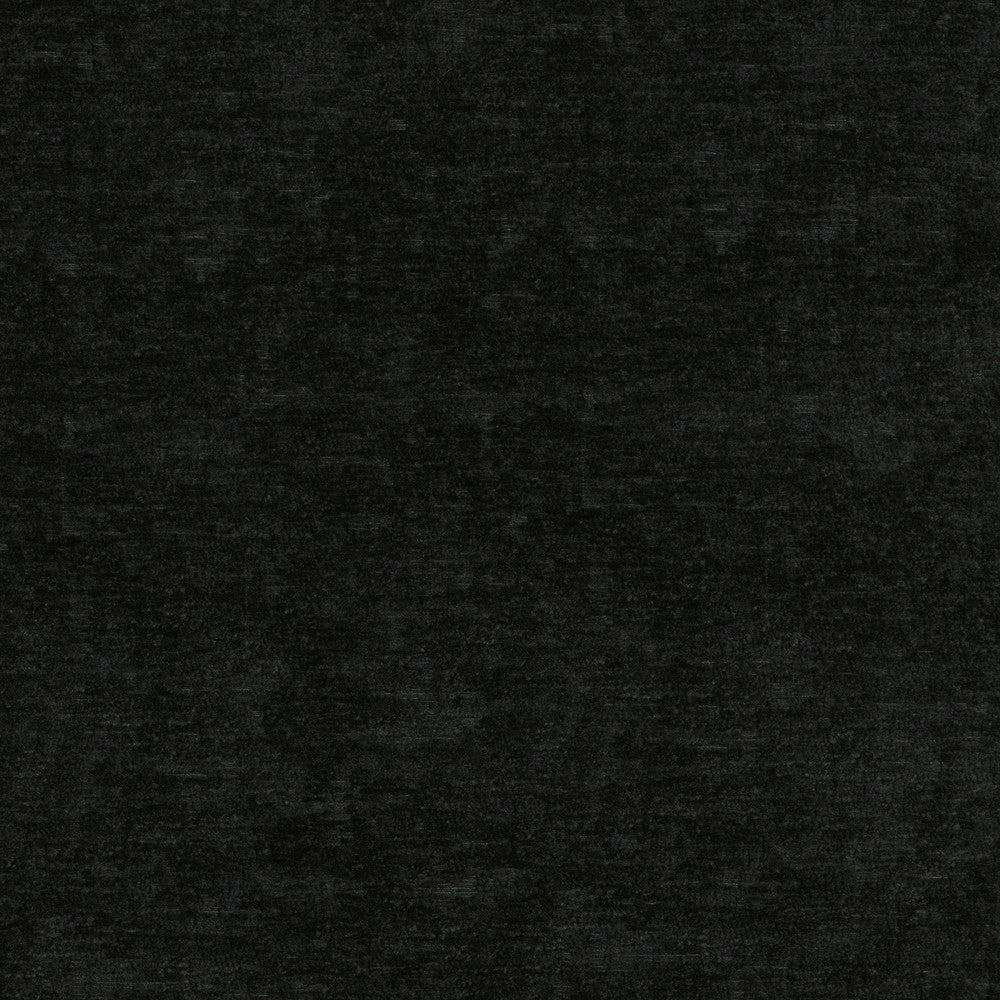 Lushscape Onyx 412296 by PKL Studio Fabric 100% Recycled Polyester China 51000 Horizontal: N/A and Vertical: N/A 54/55 - Fabric Carolina -