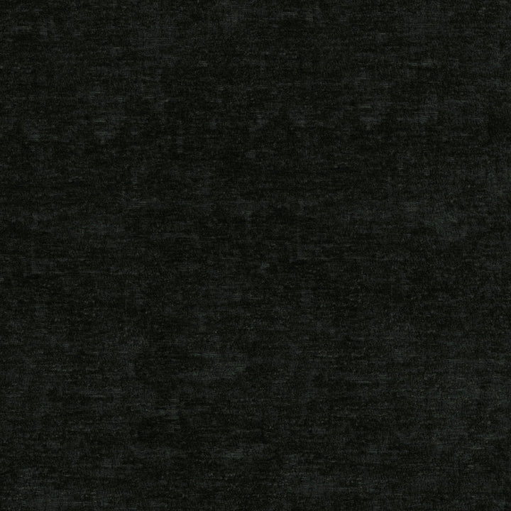 Lushscape Onyx 412296 by PKL Studio Fabric 100% Recycled Polyester China 51000 Horizontal: N/A and Vertical: N/A 54/55 - Fabric Carolina -