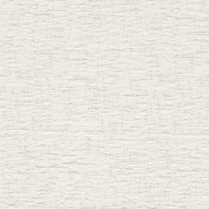 Lushscape Coconut 412301 by PKL Studio Fabric 100% Recycled Polyester China 51000 Horizontal: N/A and Vertical: N/A 54/55 - Fabric Carolina -