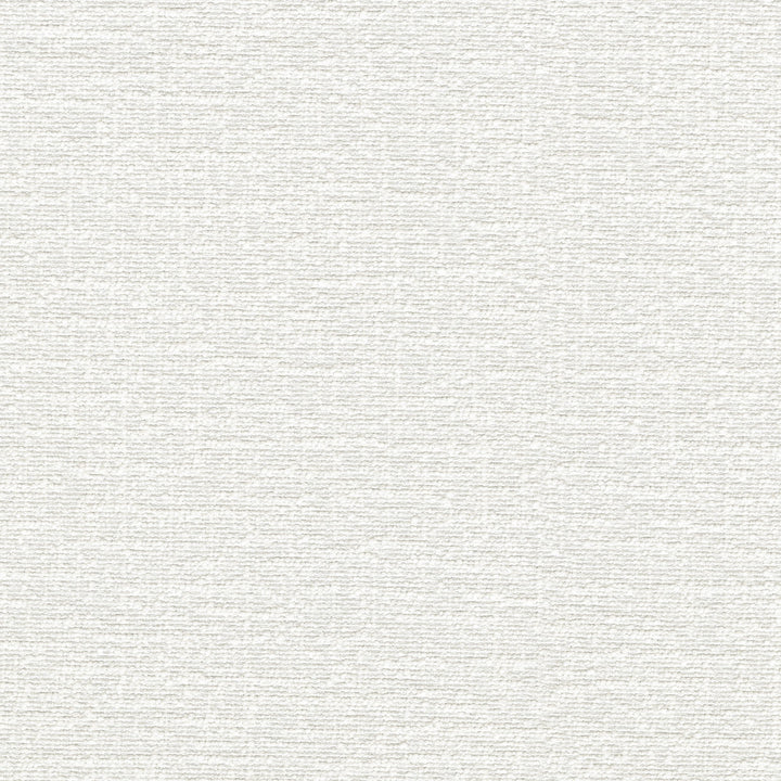 Cirrus White 412331 by PKL Studio Fabric 100% polyester China 100000 Horizontal: 0 and Vertical: 0 54 - Fabric Carolina -