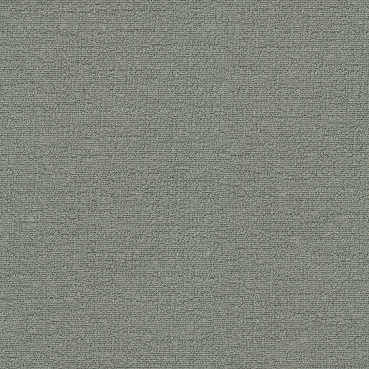 Cirrus Pewter 412334 by PKL Studio Fabric 100% polyester China 100000 Horizontal: 0 and Vertical: 0 54 - Fabric Carolina -