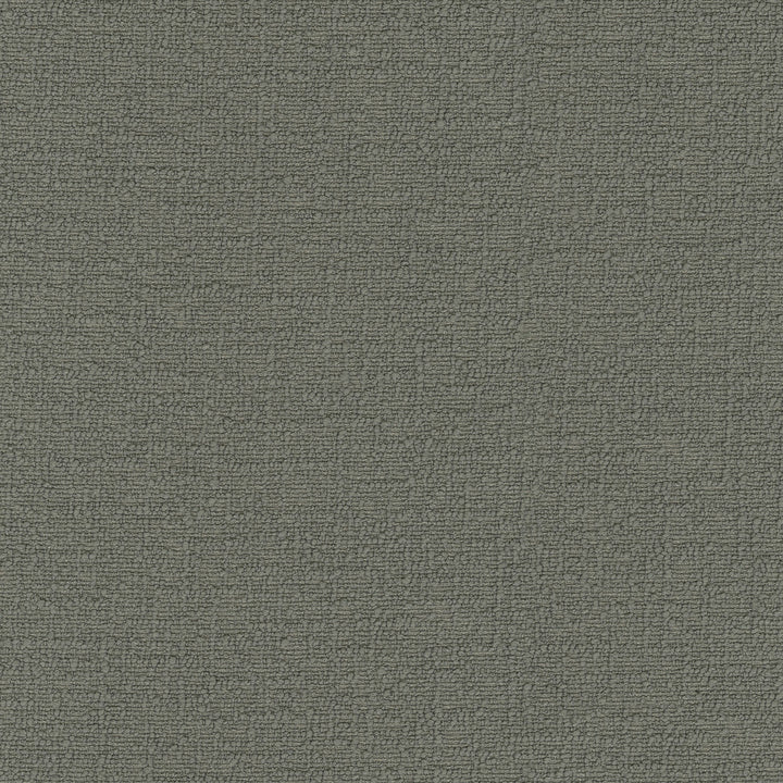 Cirrus Fossil 412335 by PKL Studio Fabric 100% polyester China 100000 Horizontal: 0 and Vertical: 0 54 - Fabric Carolina -