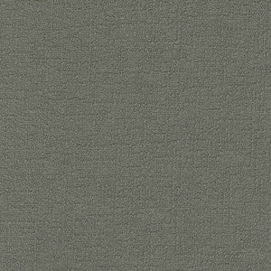Cirrus Fossil 412335 by PKL Studio Fabric