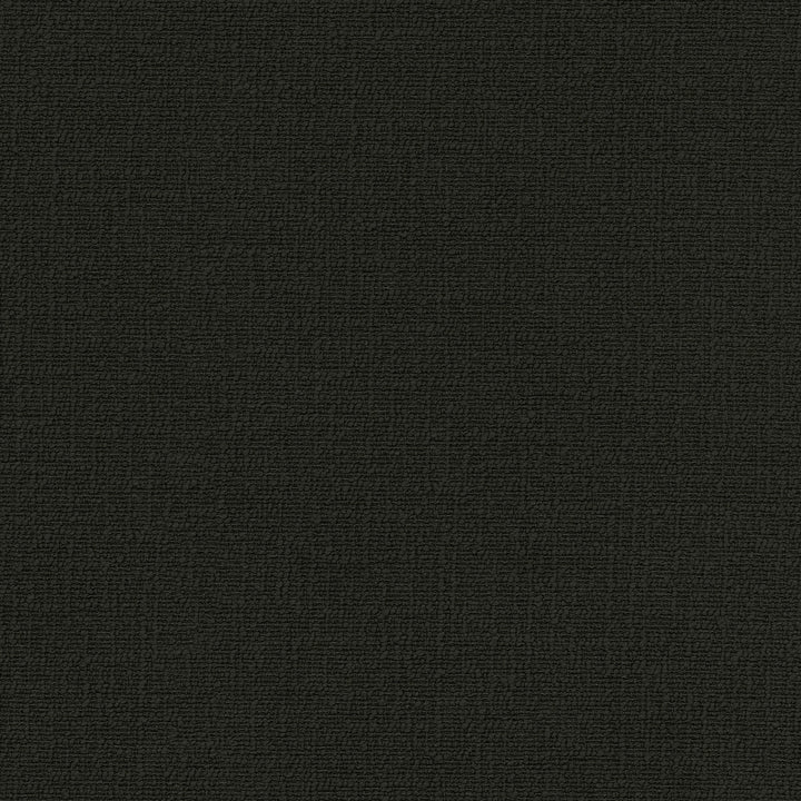 Cirrus Black 412336 by PKL Studio Fabric 100% polyester China 100000 Horizontal: 0 and Vertical: 0 54 - Fabric Carolina -