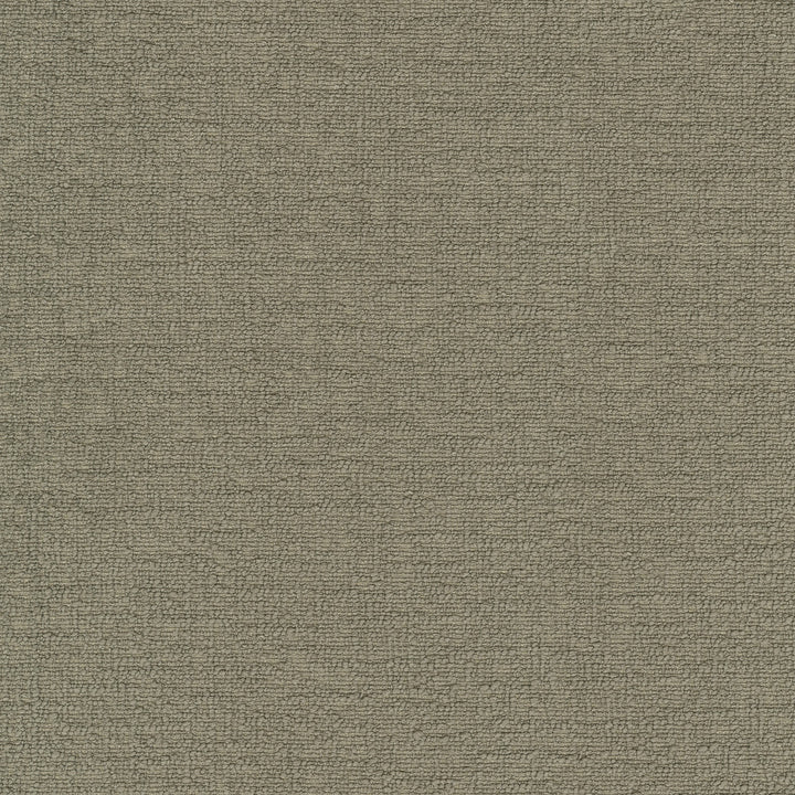 Cirrus Taupe 412338 by PKL Studio Fabric 100% polyester China 100000 Horizontal: 0 and Vertical: 0 54 - Fabric Carolina -