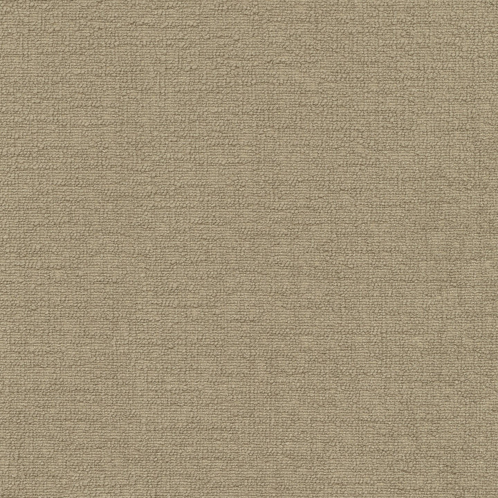 Cirrus Flax 412339 by PKL Studio Designer Fabric 100% polyester China 100000 Horizontal: 0 and Vertical: 0 54 - Swanky Fabrics -