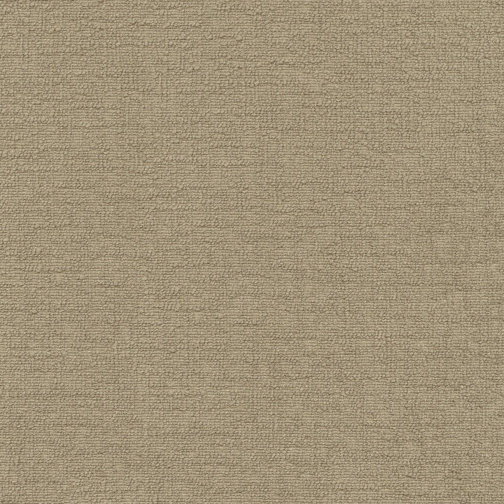 Cirrus Flax 412339 by PKL Studio Fabric 100% polyester China 100000 Horizontal: 0 and Vertical: 0 54 - Fabric Carolina -