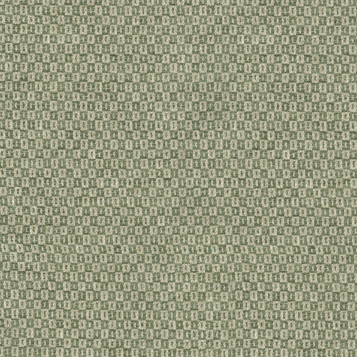 Parque Loden 412352 by PKL Studio Fabric 82% polyester, 18% cotton India 51000 Horizontal: 0.5 and Vertical: 0.63 54 - Fabric Carolina -