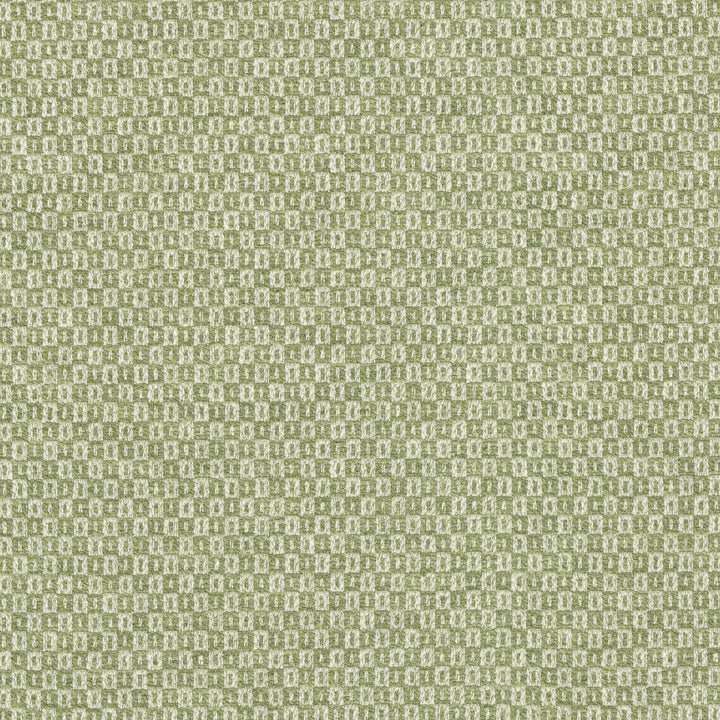 Parque Spring 412353 by PKL Studio Fabric 82% polyester, 18% cotton India 51000 Horizontal: 0.5 and Vertical: 0.63 54 - Fabric Carolina -