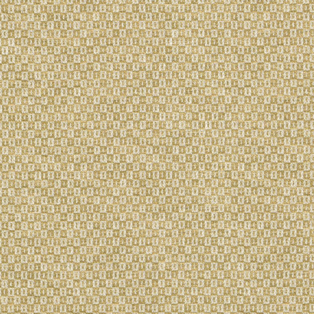 Parque Gold 412354 by PKL Studio Fabric 82% polyester, 18% cotton India 51000 Horizontal: 0.5 and Vertical: 0.63 54 - Fabric Carolina -