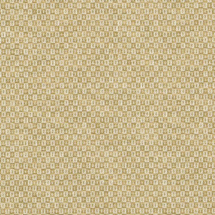 Parque Gold 412354 by PKL Studio Fabric 82% polyester, 18% cotton India 51000 Horizontal: 0.5 and Vertical: 0.63 54 - Fabric Carolina -
