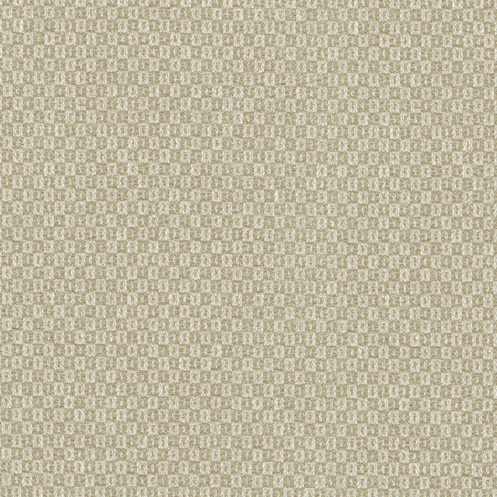 Parque Sesame 412355 by PKL Studio Designer Fabric 82% polyester, 18% cotton India 51000 Horizontal: 0.5 and Vertical: 0.63 54 - Swanky Fabrics -