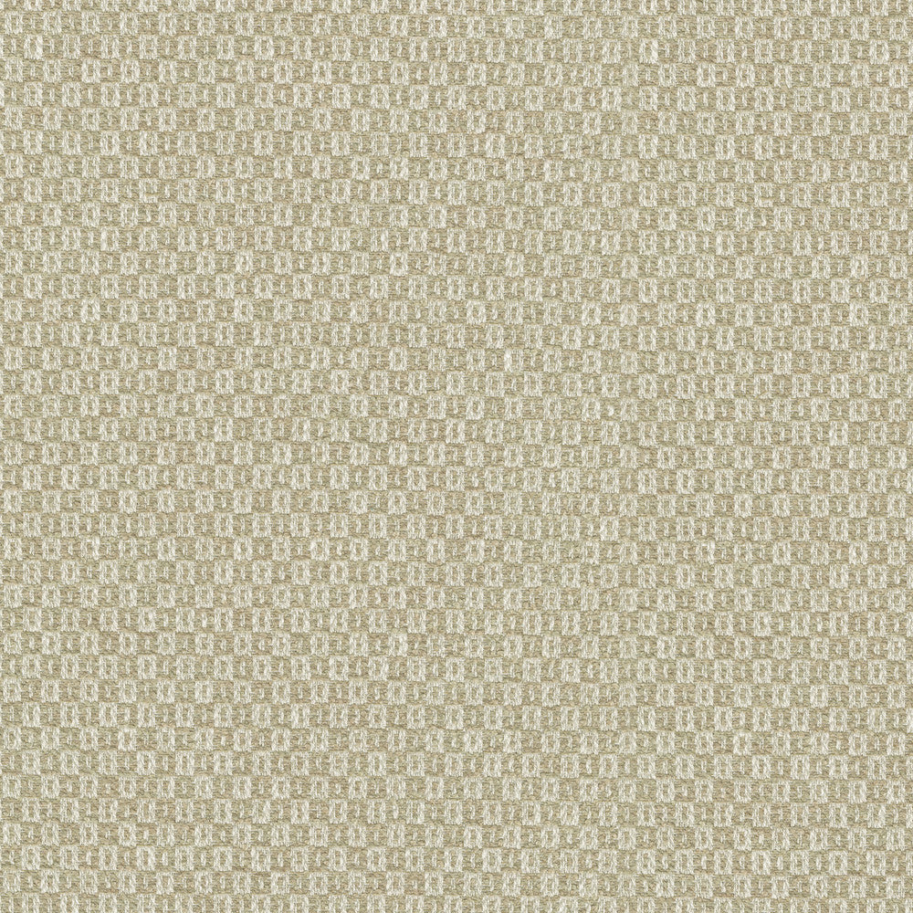 Parque Sesame 412355 by PKL Studio Fabric 82% polyester, 18% cotton India 51000 Horizontal: 0.5 and Vertical: 0.63 54 - Fabric Carolina -
