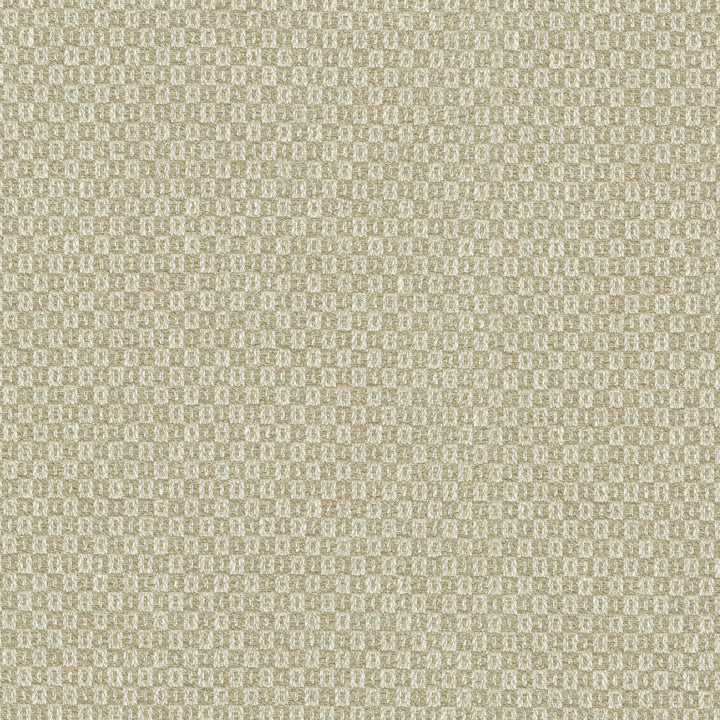 Parque Sesame 412355 by PKL Studio Fabric 82% polyester, 18% cotton India 51000 Horizontal: 0.5 and Vertical: 0.63 54 - Fabric Carolina -