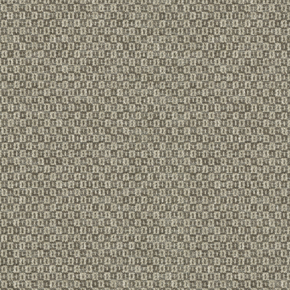 Parque Driftwood 412357 by PKL Studio Fabric 82% polyester, 18% cotton India 51000 Horizontal: 0.5 and Vertical: 0.63 54 - Fabric Carolina -
