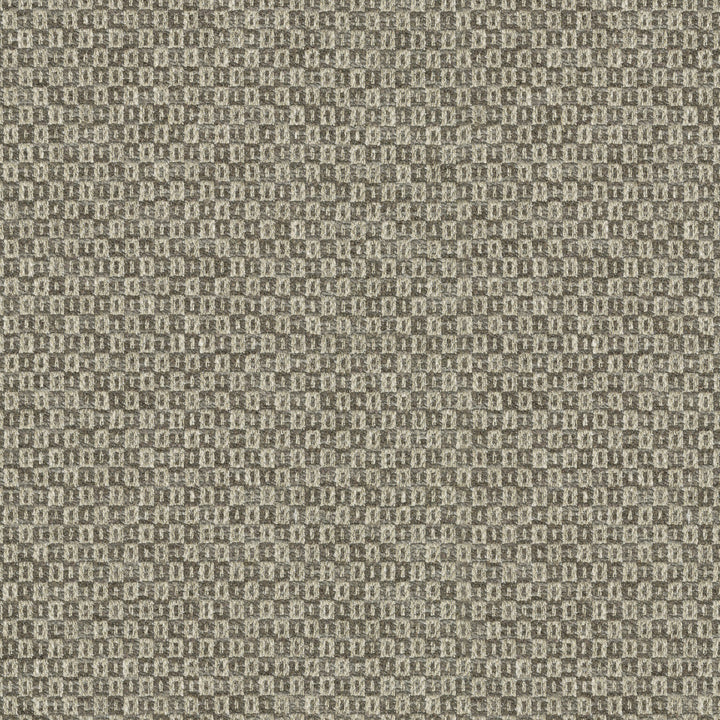 Parque Driftwood 412357 by PKL Studio Fabric 82% polyester, 18% cotton India 51000 Horizontal: 0.5 and Vertical: 0.63 54 - Fabric Carolina -