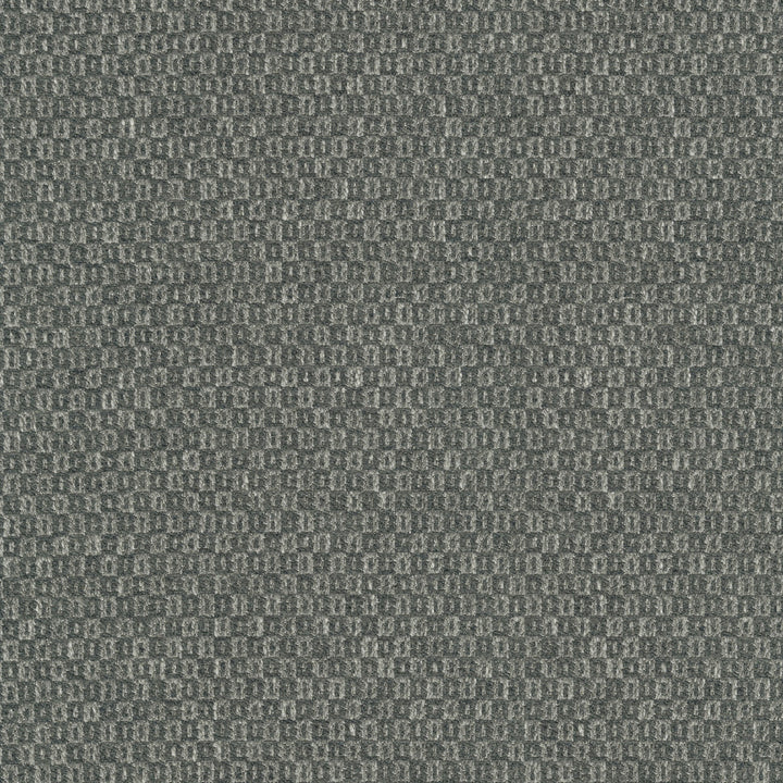 Parque Charcoal 412359 by PKL Studio Fabric 82% polyester, 18% cotton India 51000 Horizontal: 0.5 and Vertical: 0.63 54 - Fabric Carolina -