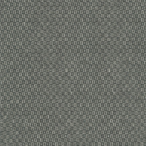 Parque Charcoal 412359 by PKL Studio Fabric