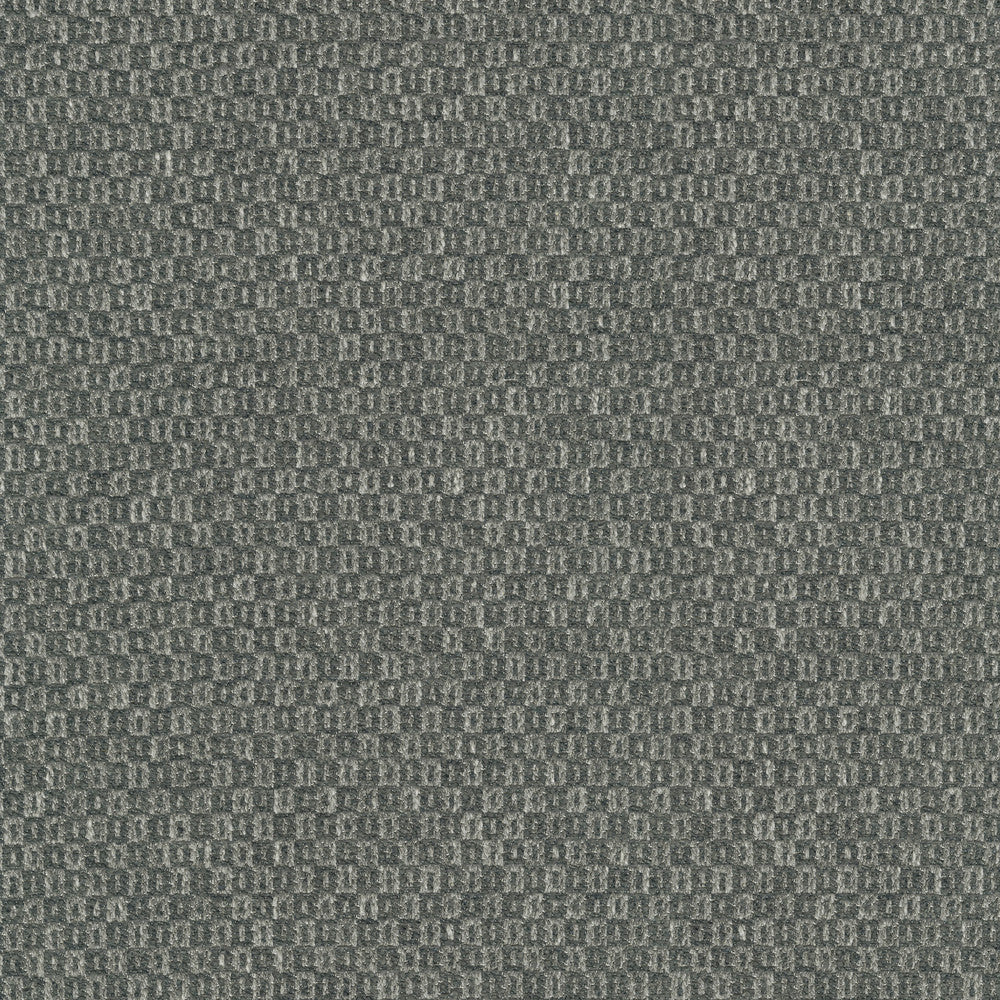Parque Charcoal 412359 by PKL Studio Designer Fabric 82% polyester, 18% cotton India 51000 Horizontal: 0.5 and Vertical: 0.63 54 - Swanky Fabrics -