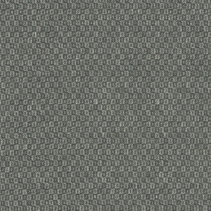 Parque Charcoal 412359 By PKL Studio Fabric