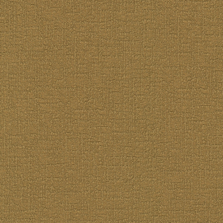 Cirrus Copper 412371 by PKL Studio Designer Fabric 100% polyester China 100000 Horizontal: 0 and Vertical: 0 54 - Swanky Fabrics -