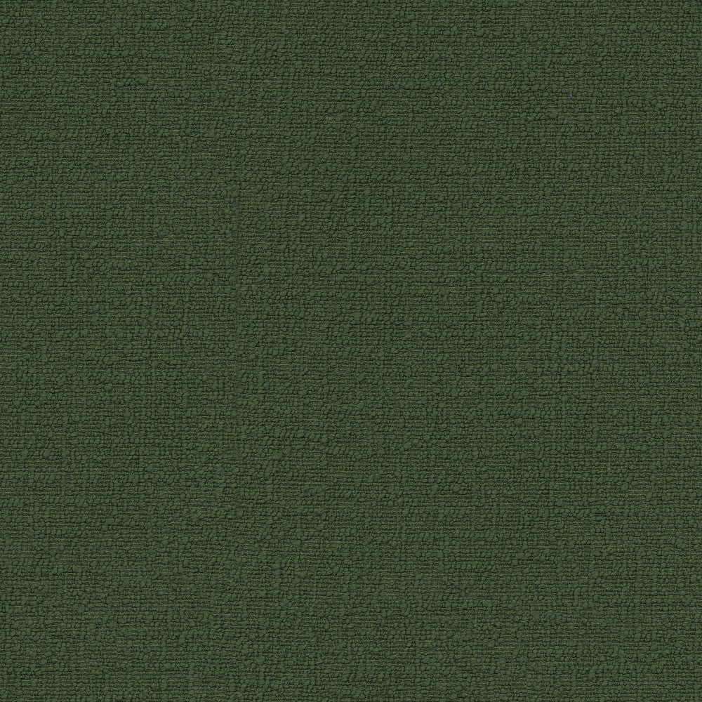 Cirrus Moss 412375 by PKL Studio Fabric 100% polyester China 100000 Horizontal: 0 and Vertical: 0 54 - Fabric Carolina -