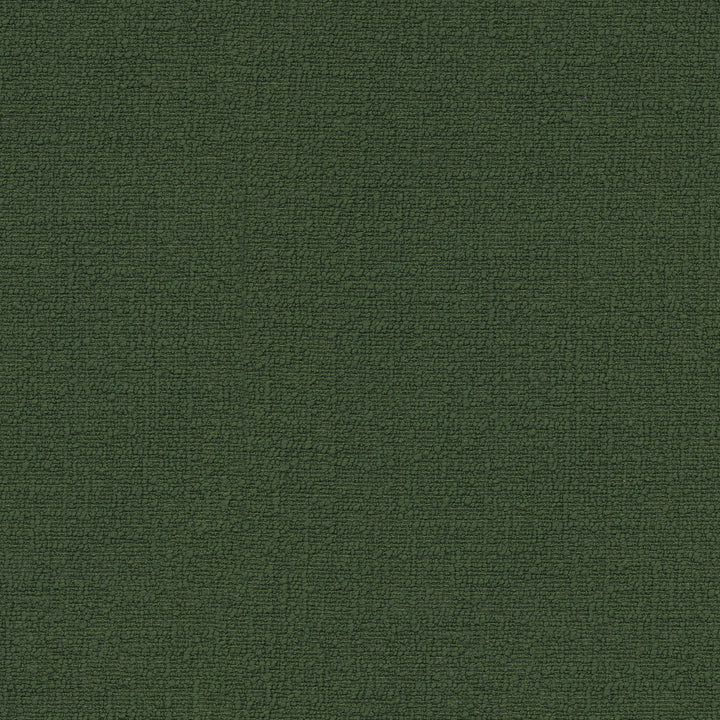 Cirrus Moss 412375 by PKL Studio Fabric 100% polyester China 100000 Horizontal: 0 and Vertical: 0 54 - Fabric Carolina -