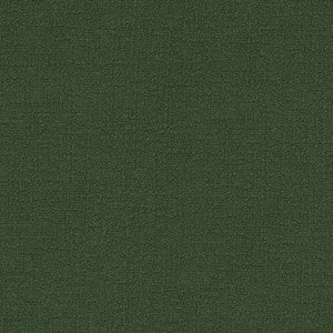 Cirrus Moss 412375 by PKL Studio Fabric