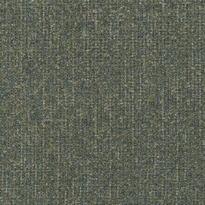 Ventura Earthen 412520 by PKL Studio Fabric 100% polyester India 51000 Horizontal: n/a and Vertical: n/a 54 - Fabric Carolina -