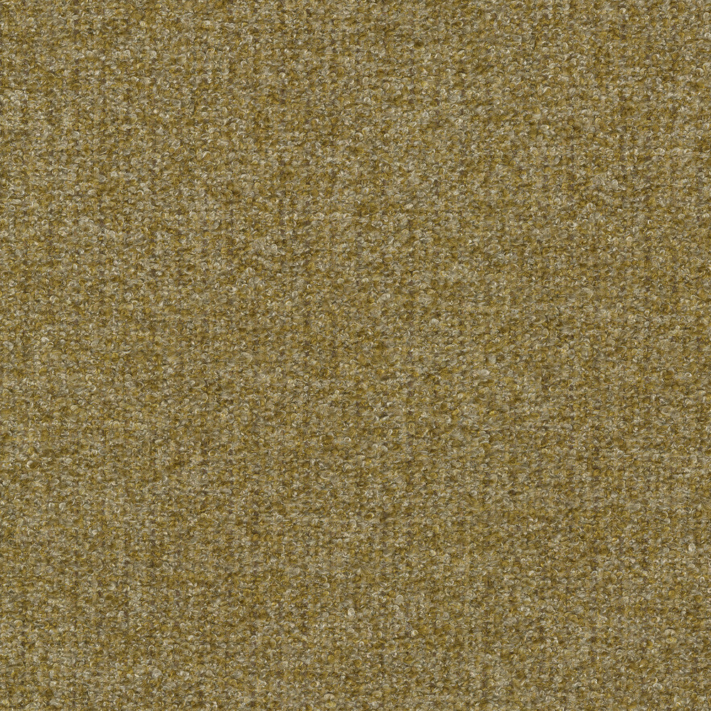 Ventura Gold 412523 by PKL Studio Designer Fabric 100% polyester India 51000 Horizontal: n/a and Vertical: n/a 54 - Swanky Fabrics -